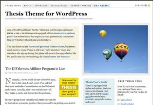Thesis Wordpress Theme