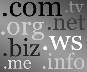 Choose a Domain Name 