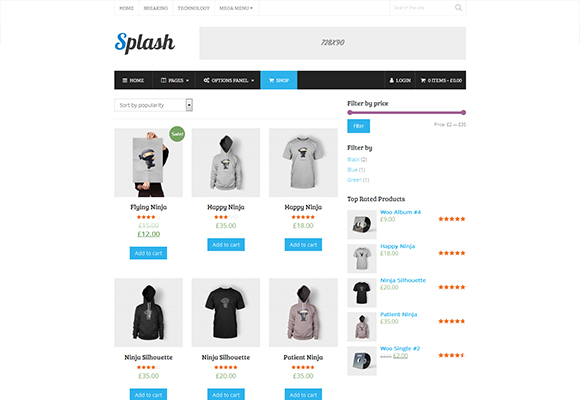 Splash Wordpress Theme